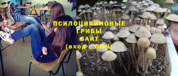трава Лабытнанги