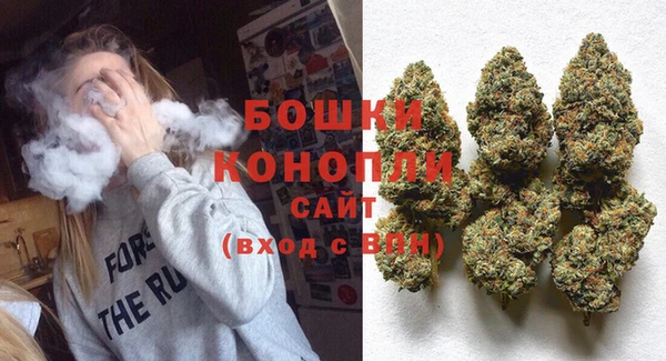 шишки Куйбышев