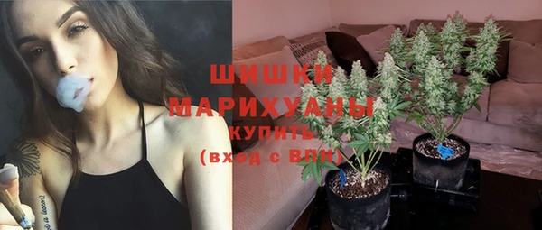 шишки Куйбышев