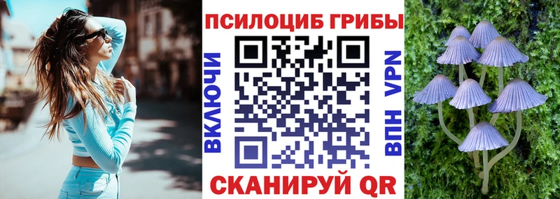 Псилоцибиновые грибы мицелий  Купить  Кораблино 